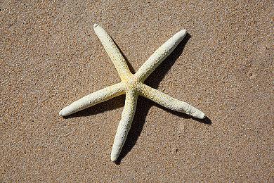 IOS版《死亡搁浅：导演剪辑版》官宣延期 明年年初发售